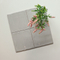 75x150/150x150/75x300 mm 크기 디자인 불규칙한 웨이브 가장자리 유약 회색 벽 타일